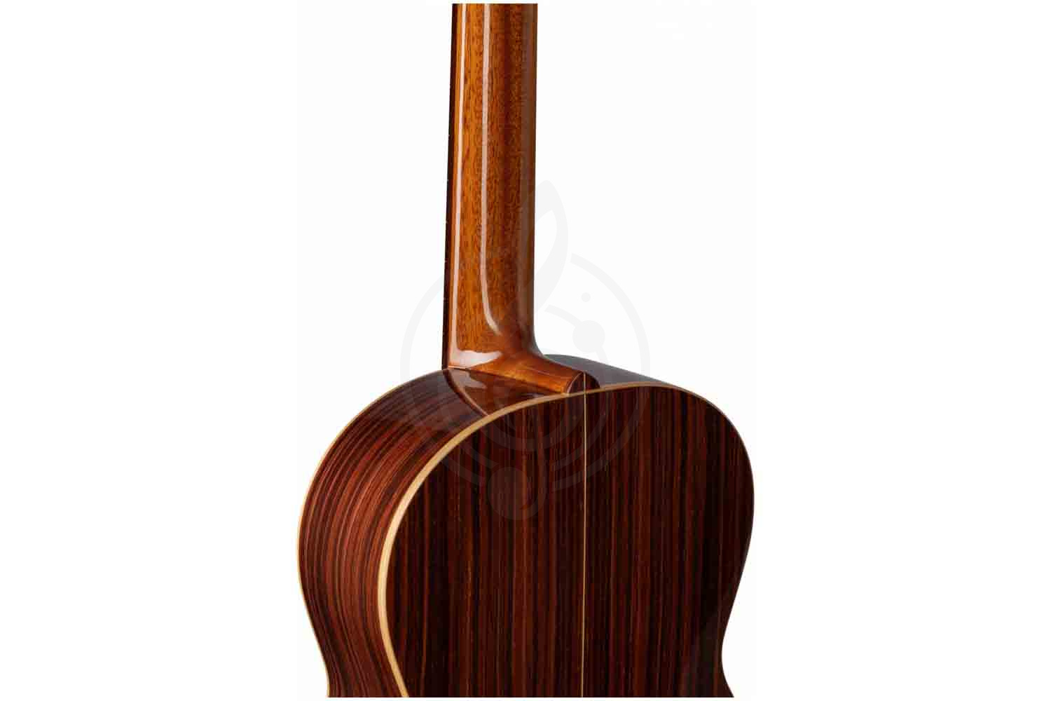 Классическая гитара 4/4 ALTAMIRA Salvador - Классическая гитара 4/4 - фото 2