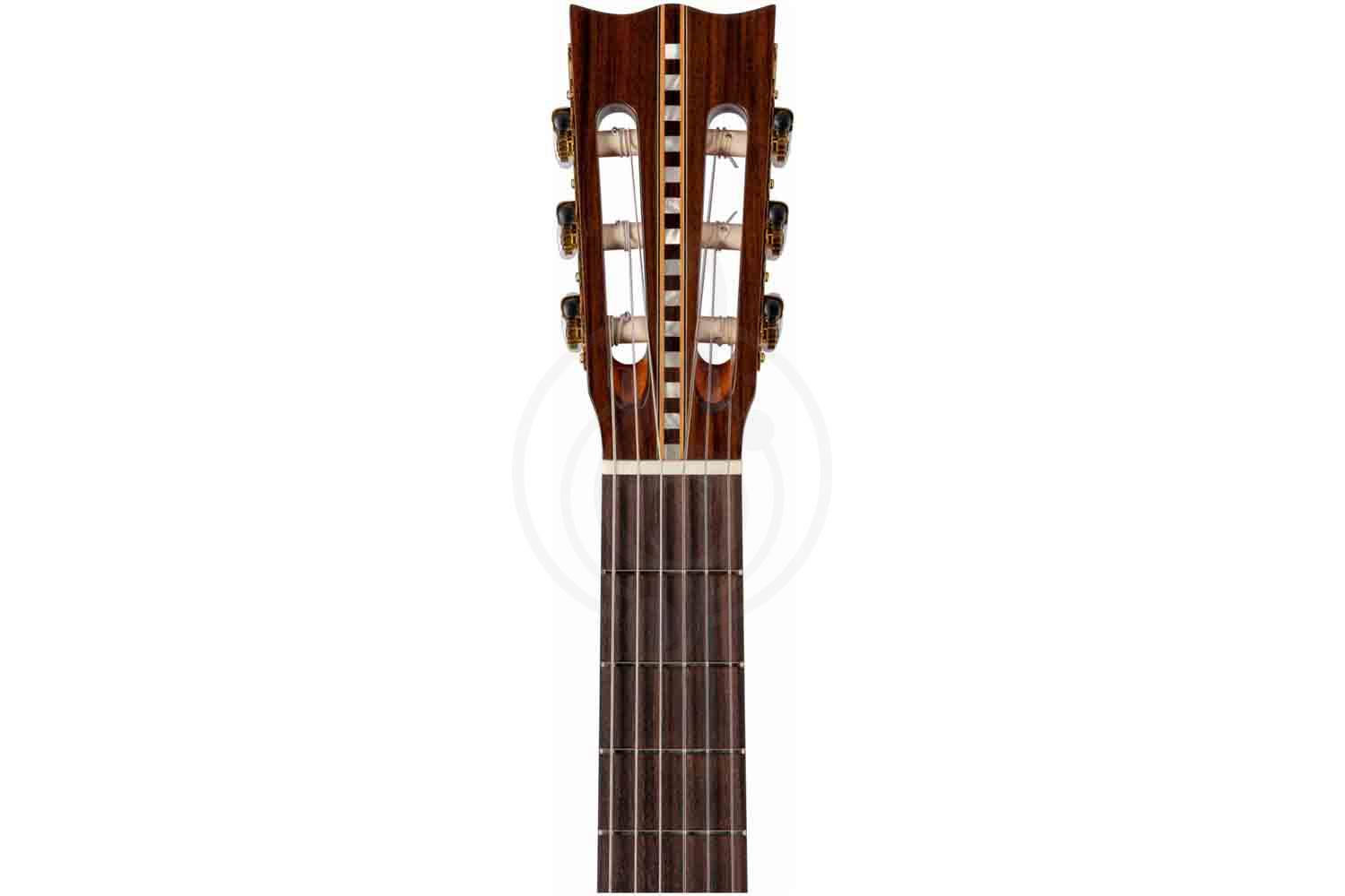 Классическая гитара 4/4 ALTAMIRA Salvador - Классическая гитара 4/4 - фото 4