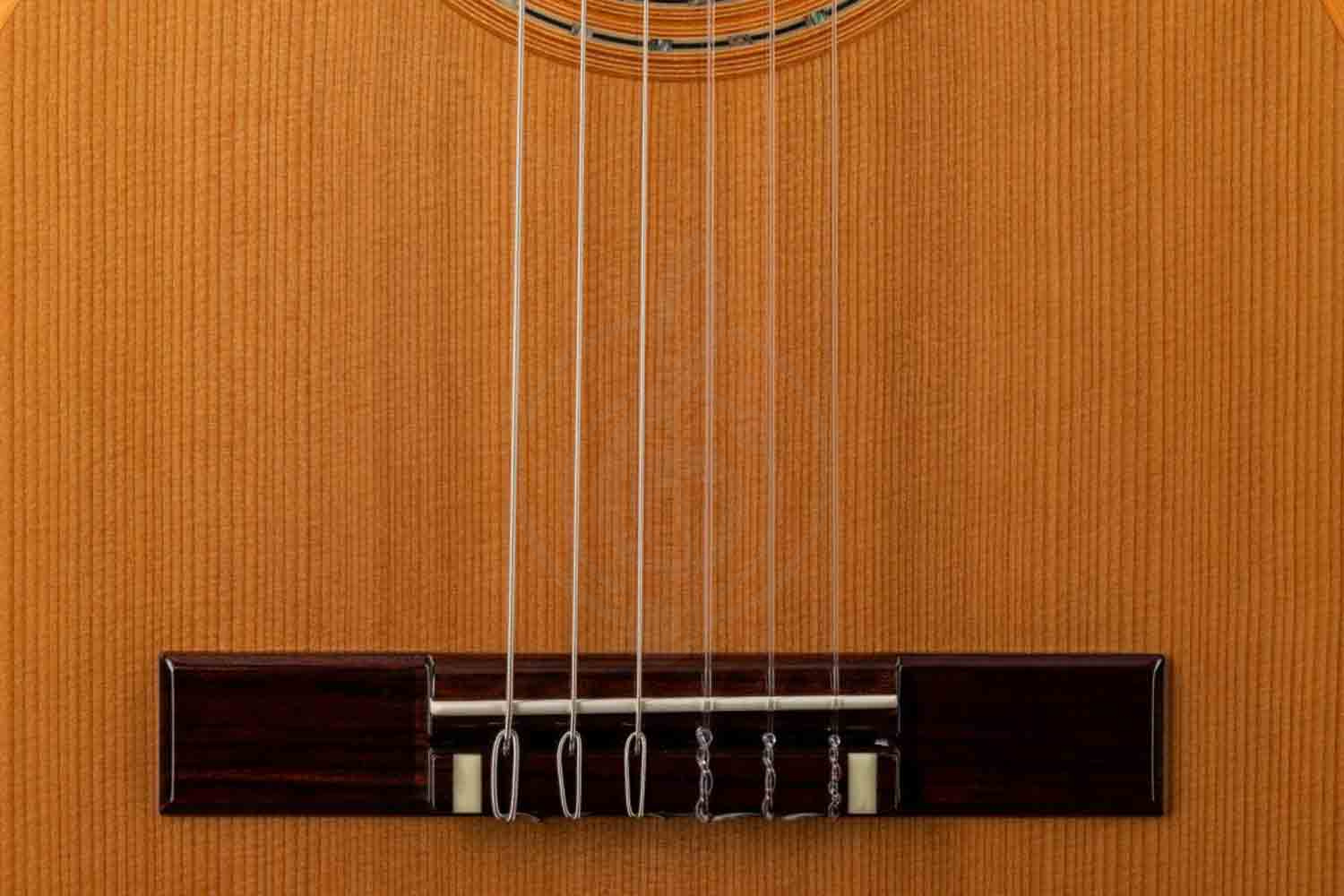 Классическая гитара 4/4 ALTAMIRA Salvador - Классическая гитара 4/4 - фото 14