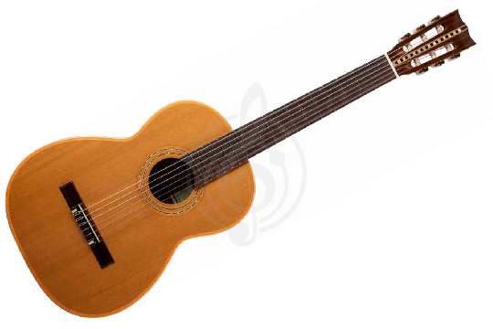 Классическая гитара 4/4 ALTAMIRA Salvador - Классическая гитара 4/4 - фото 1